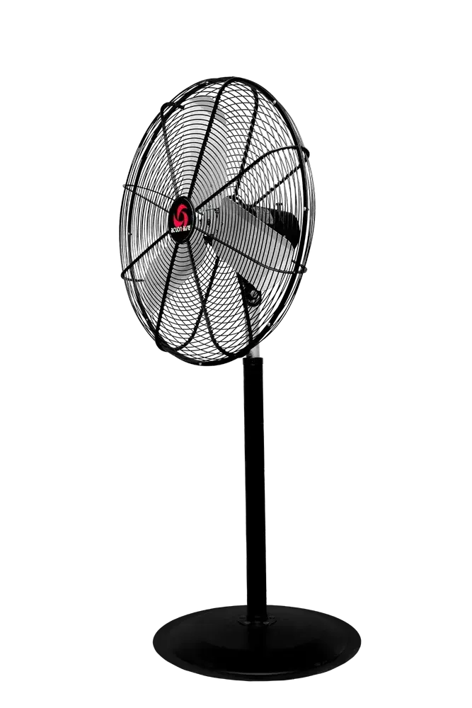 Electric Fan